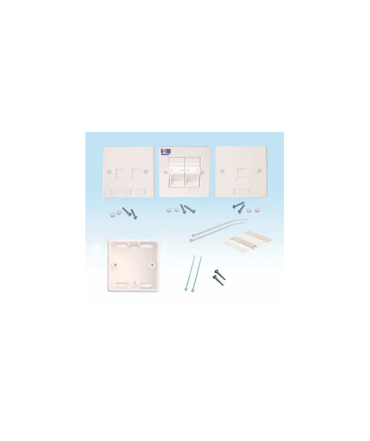 HCS W00-40106 İngiliz Tipi Sıva Altı 2 Port Data Prizi 86×86